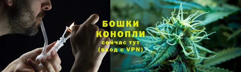 Каннабис OG Kush  Арамиль 